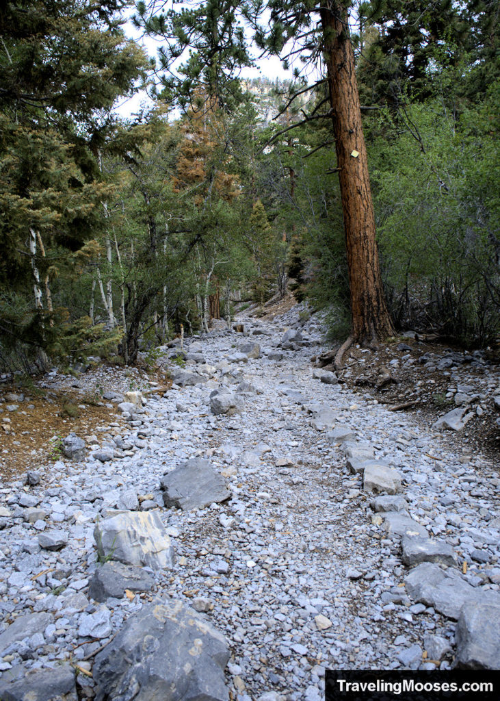 Mary Jane Falls Trail Rock Path