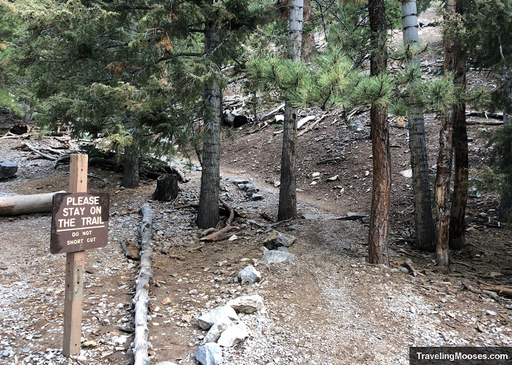 Please say on the trail sign along Mary Jane Falls Trail