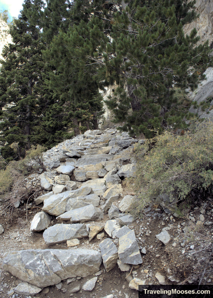 Stone staircase winding up Mary Jane Falls Trail