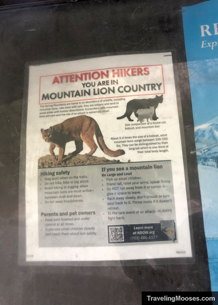Mountain Lion Warning Sign and steps to keep safe