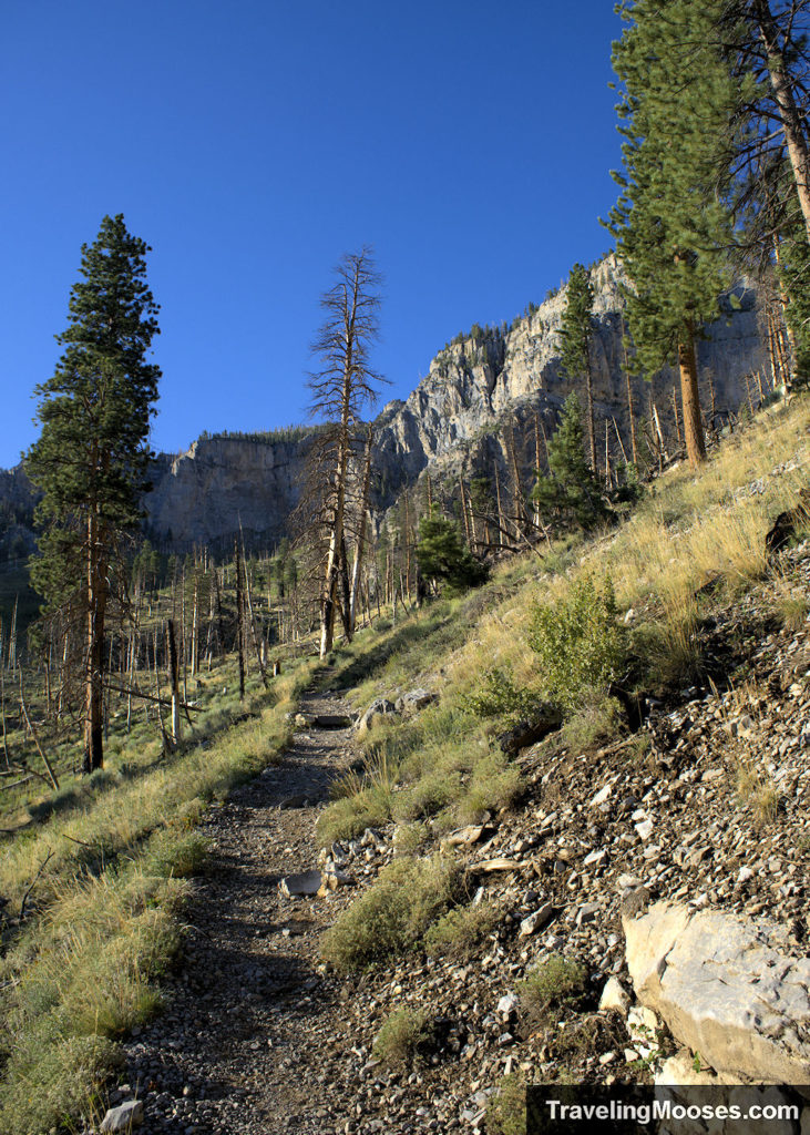 Mt. Charleston NRT South Loop Trail