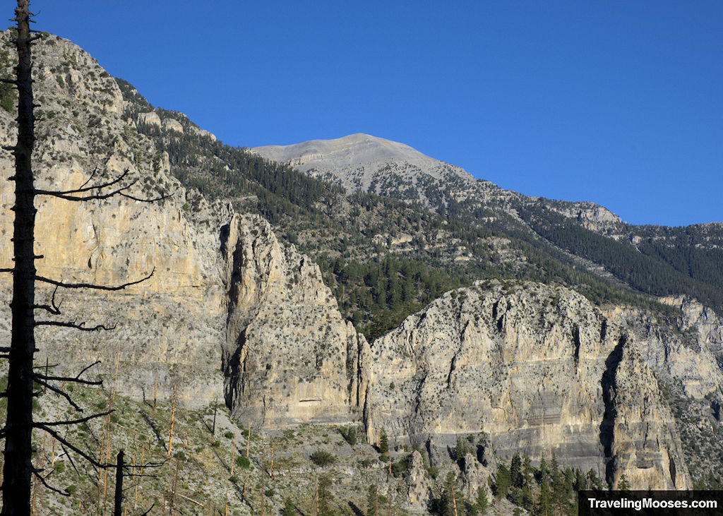 Chalreston Peak seen from Echo Overlook