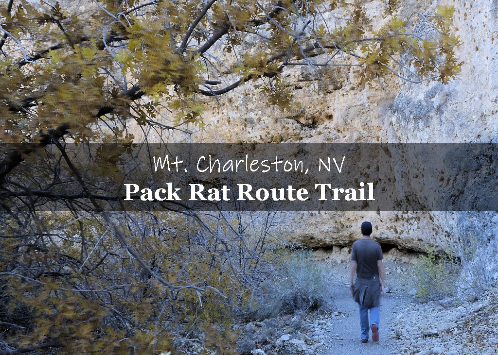 Pack Rat Route Trail Mt. Charleston Nevada