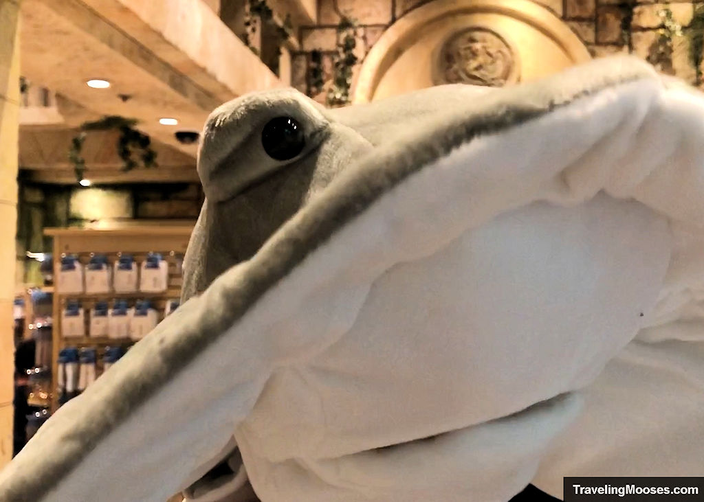 Shark Reef Aquarium Gift Shop at Mandalay Bay