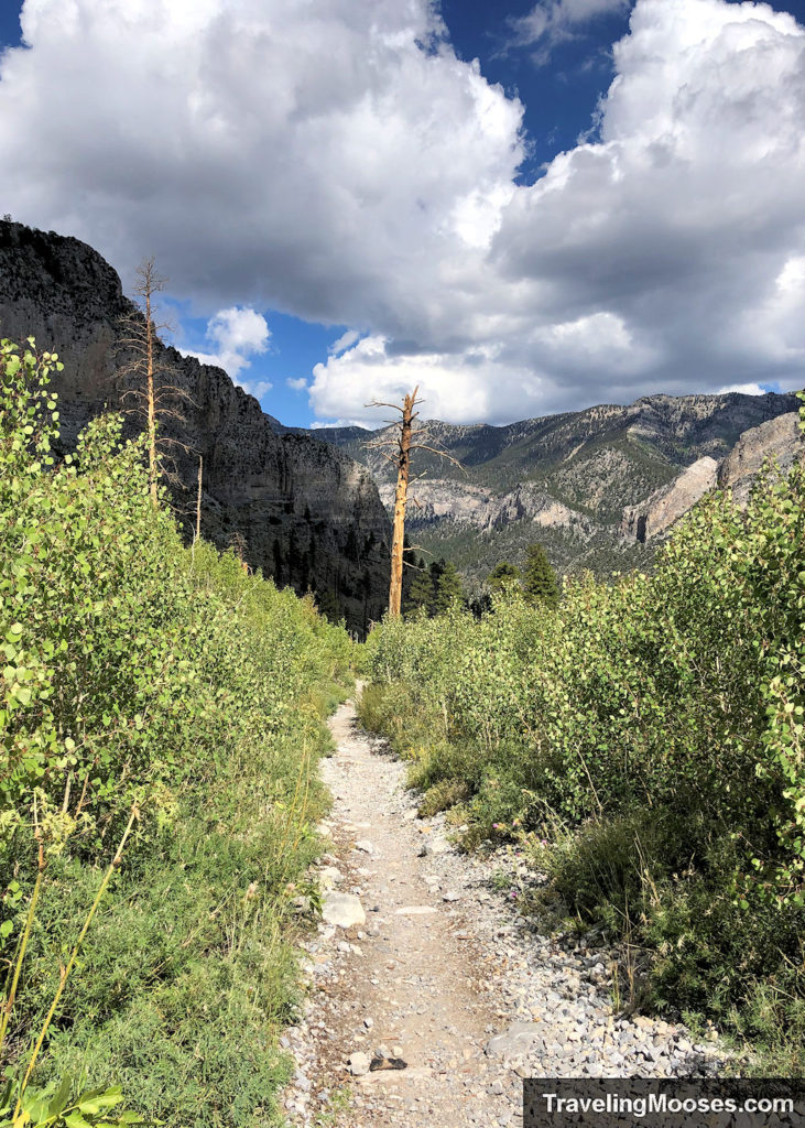 South Loop Trail headed towards Echo Overlook