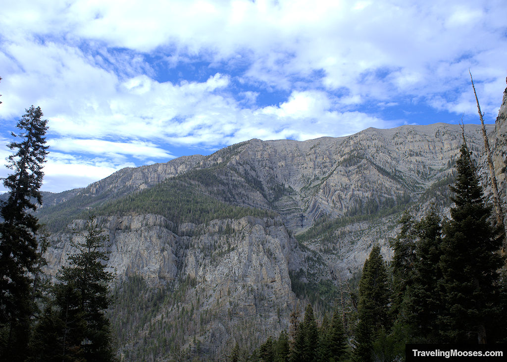 Spring Mountains as seen from Mary Jane Falls