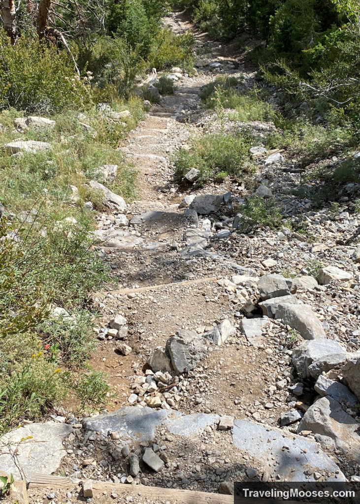 Stone stairs on South Loop Trail near Echo Overlook