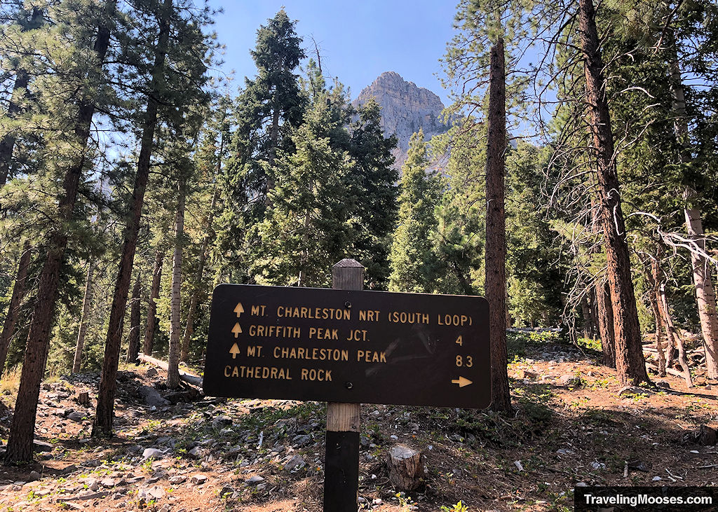 Trail Sign for Mt. Charleston NRT (South Loop)