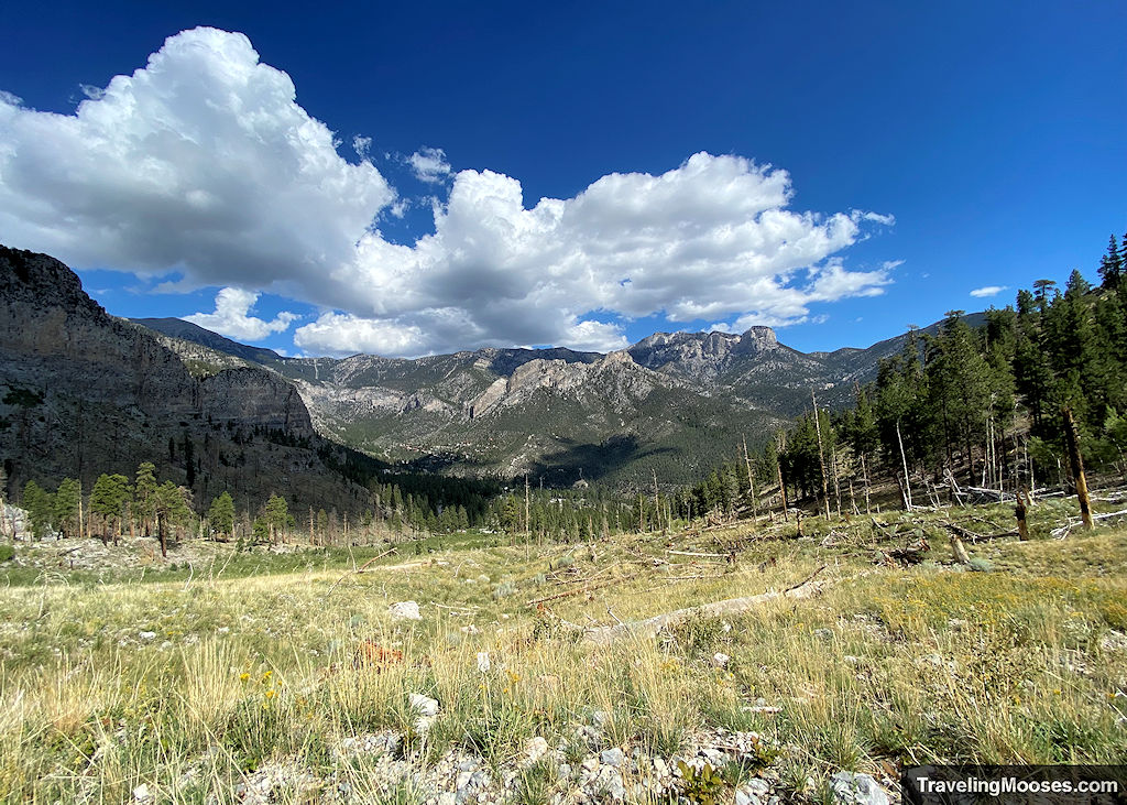 View of Cathedral Rock, Mummy Mountain and Charleston Peak as seen from South Loop Trail