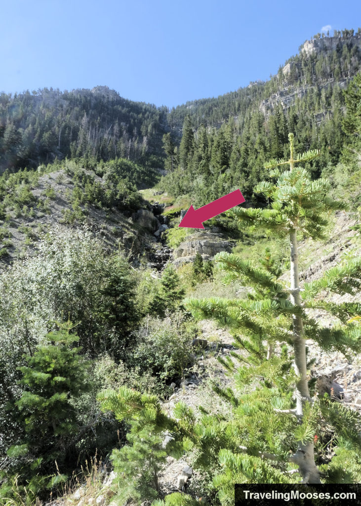 Waterfall near Echo Overlook