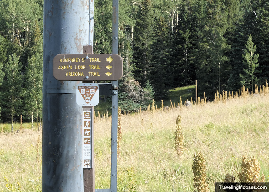 Aspen Loop Humphreys Peak Trail Fork