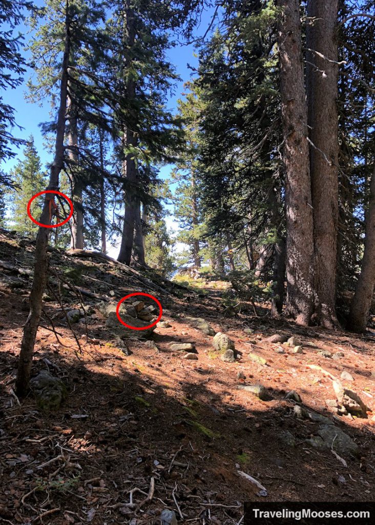 Markers guiding to b24 crash Humphreys peak