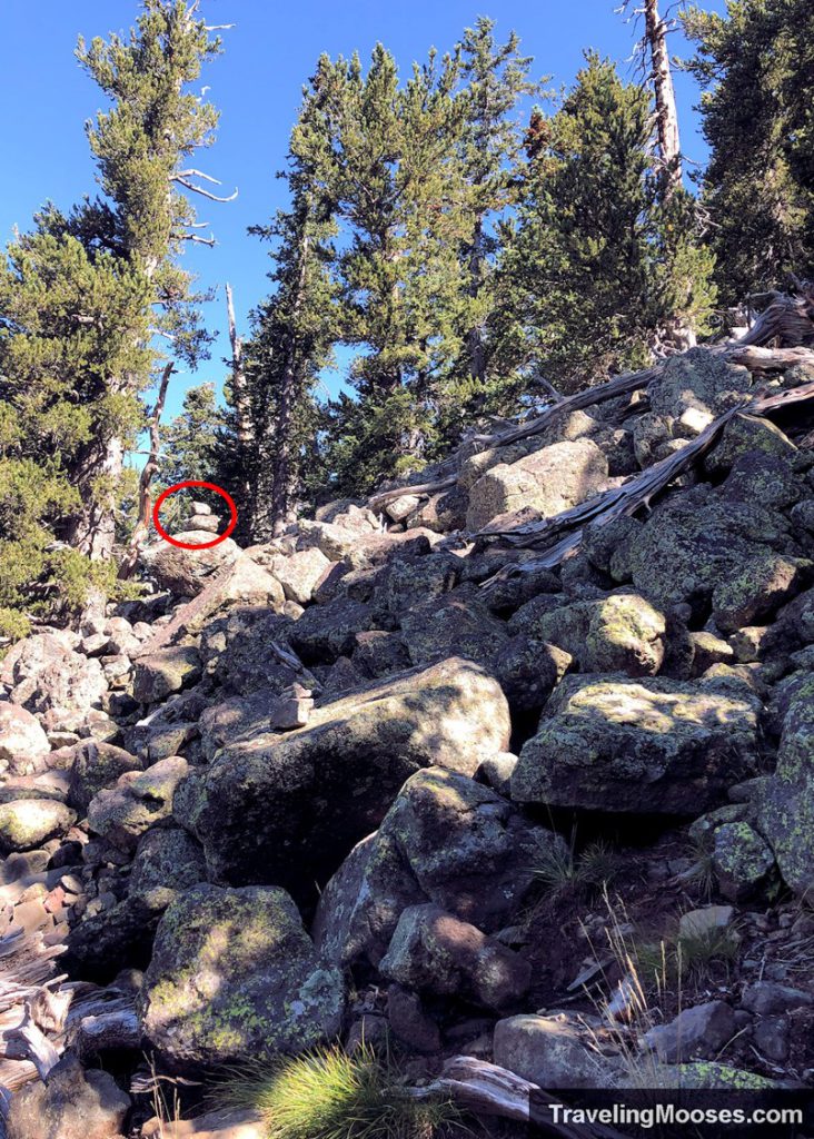 Path to Plane Crash on Humphreys Peak