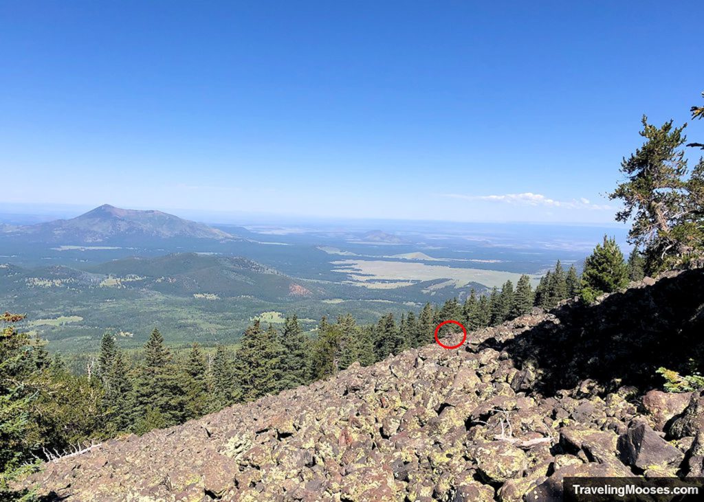 Searching B24 plane crash site Humphreys Peak