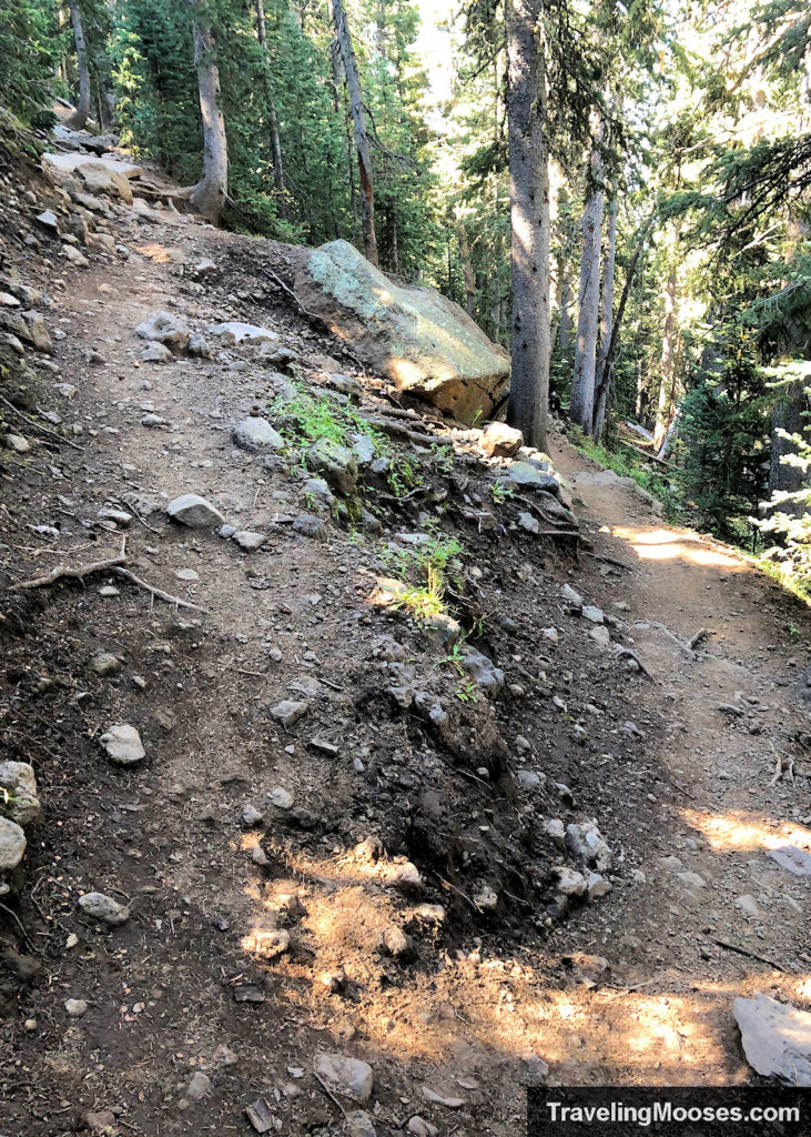 Switchbacks along Humphreys Peak Trail