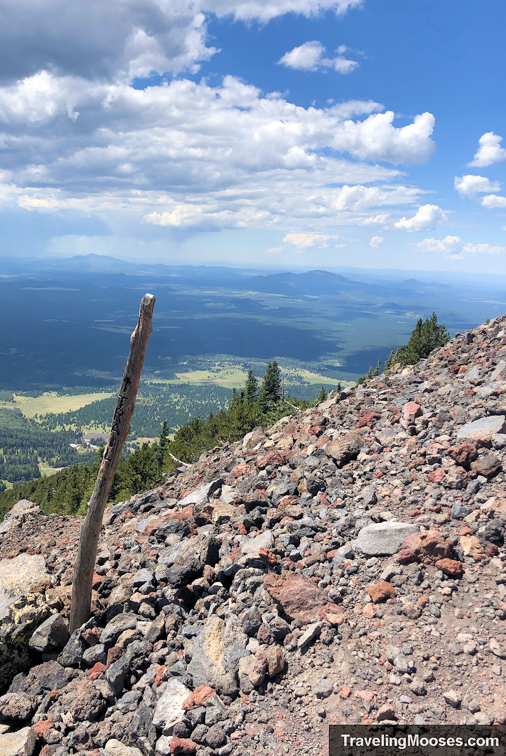 Trail Markers on the Humphreys Peak Trail