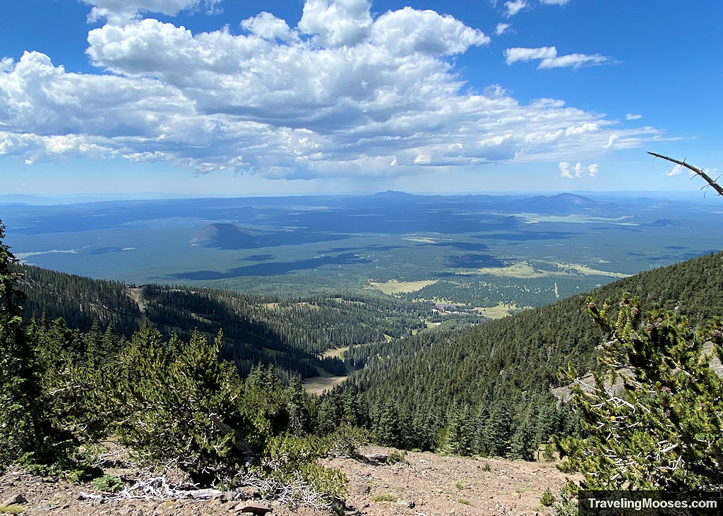 View from Humphreys Peak Trail