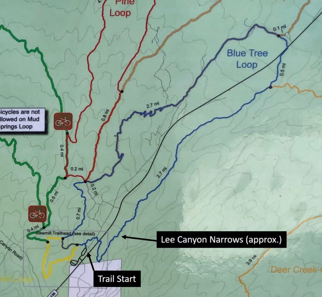 Blue Tree to Lee Canyon Narrows Hiking Map Overview