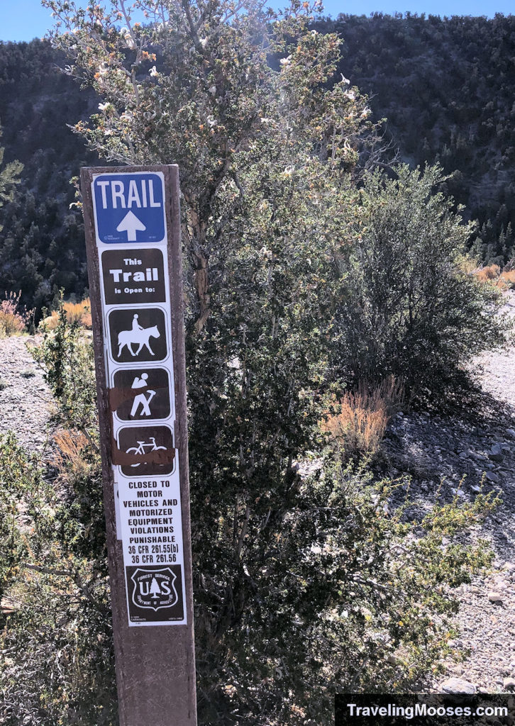 Blue trail markers