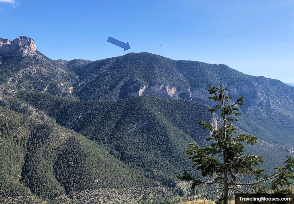 Fletcher Peak seen from Echo Canyon trail