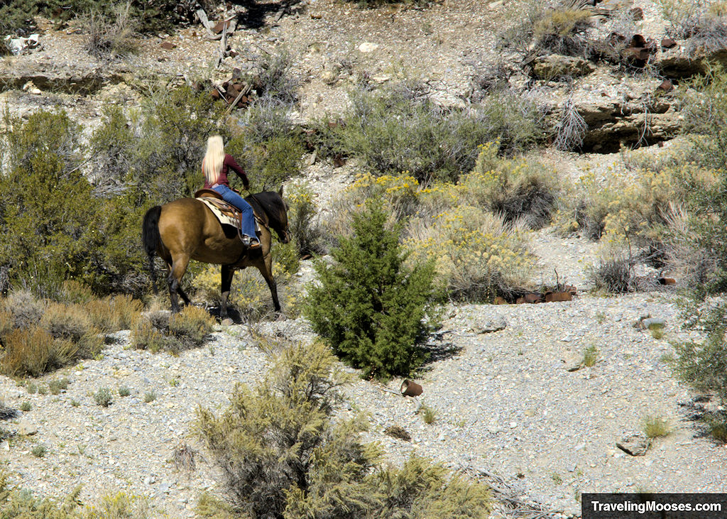 Horse rider on Blue Tree Loop Trail