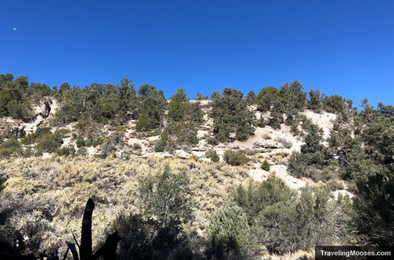 Lee Canyon Narrows from Blue Tree Trail | Traveling Mooses