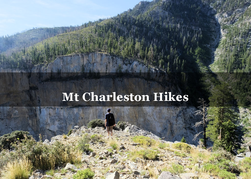 Mount Charleston Hikes