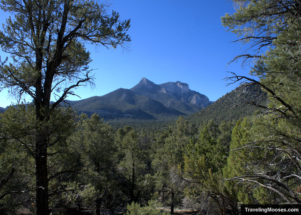 Mummy Mountain North Summit seen from Sawmill Loop Trail