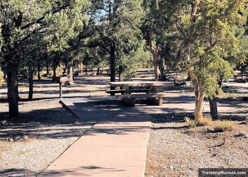 Picnic Area at Sawmill Trailhead