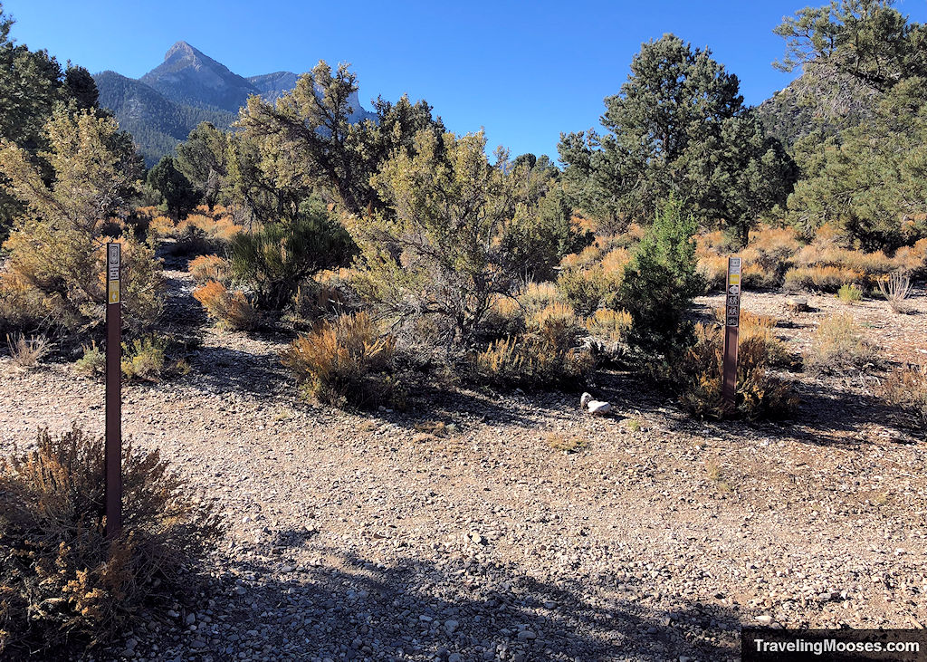 Sawmill Loop Trail Markers