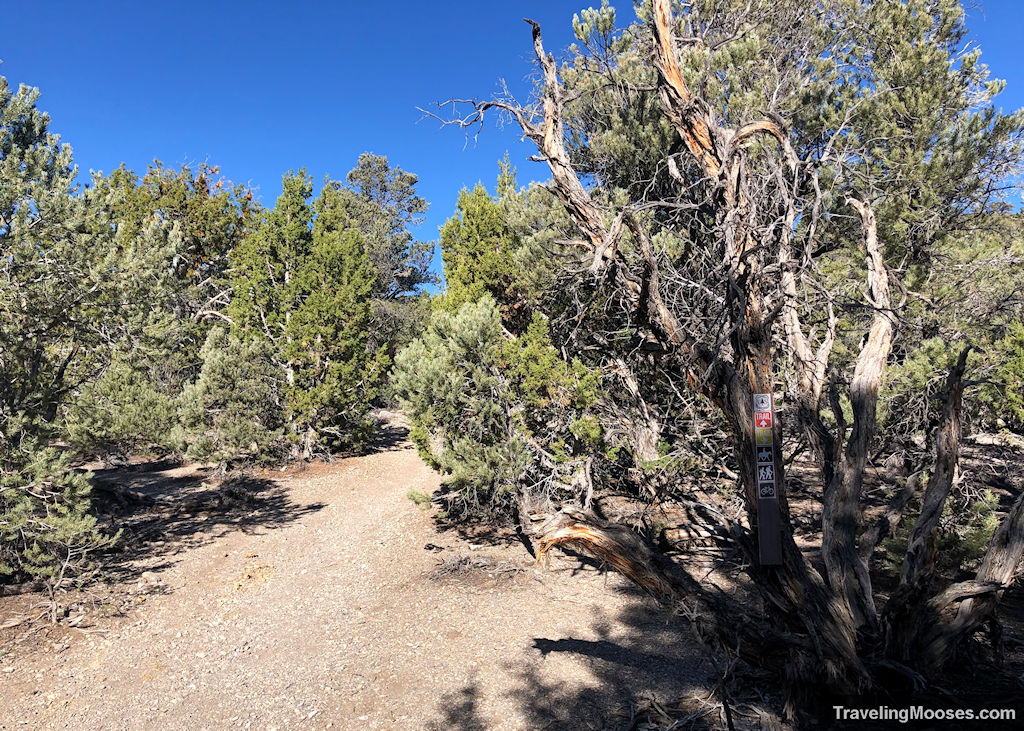 Sawmill Loop Trail fork to Pinyon Trail