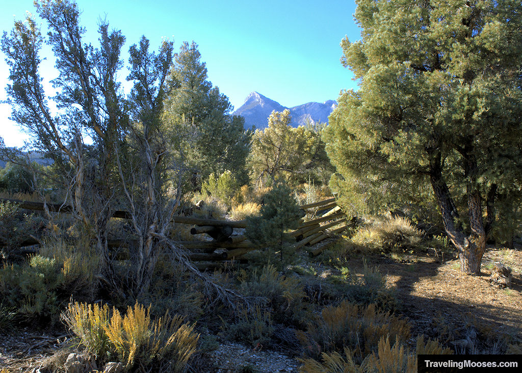 Sawmill Loop Trail with Mummy Mountain