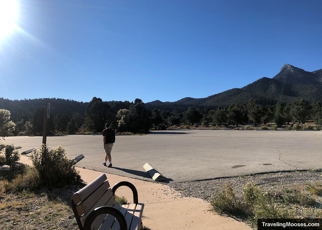 Sawmill Parking Area Mount Charleston Nevada