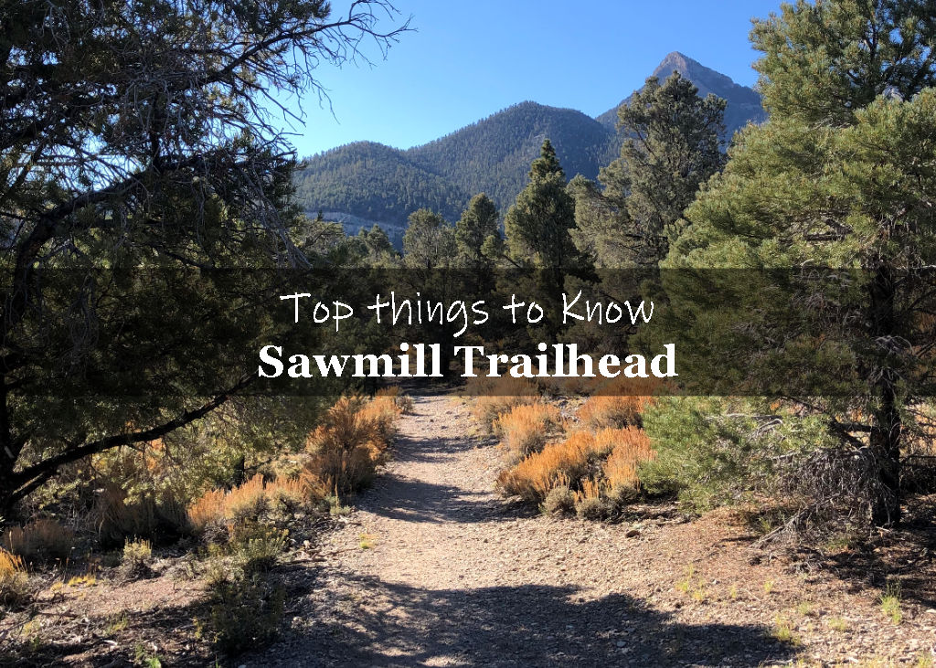 Top Things to know about Sawmill Trailhead