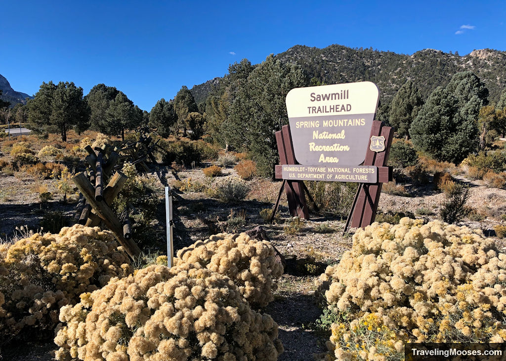 Sawmill Trailhead Mount Charleston Nevada