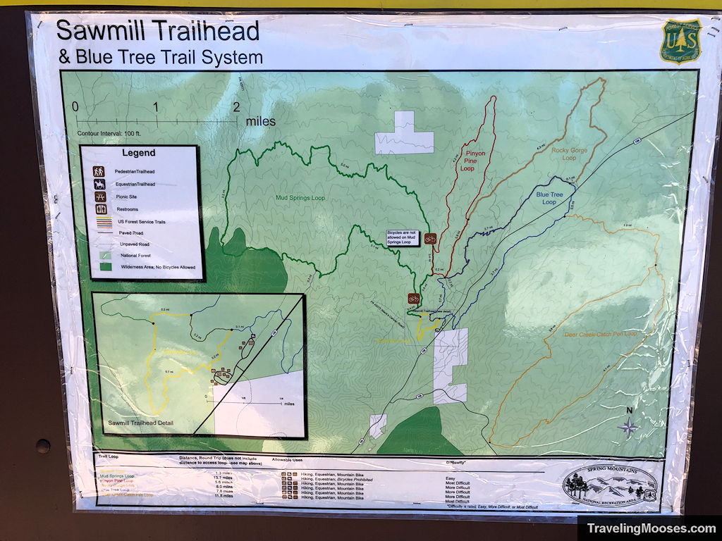 Sawmill Trailhead and Blue Tree Trail System