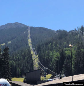 Riding The Snowbowl Scenic Gondola | Traveling Mooses