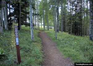 Start of Aspen Loop trail through woods