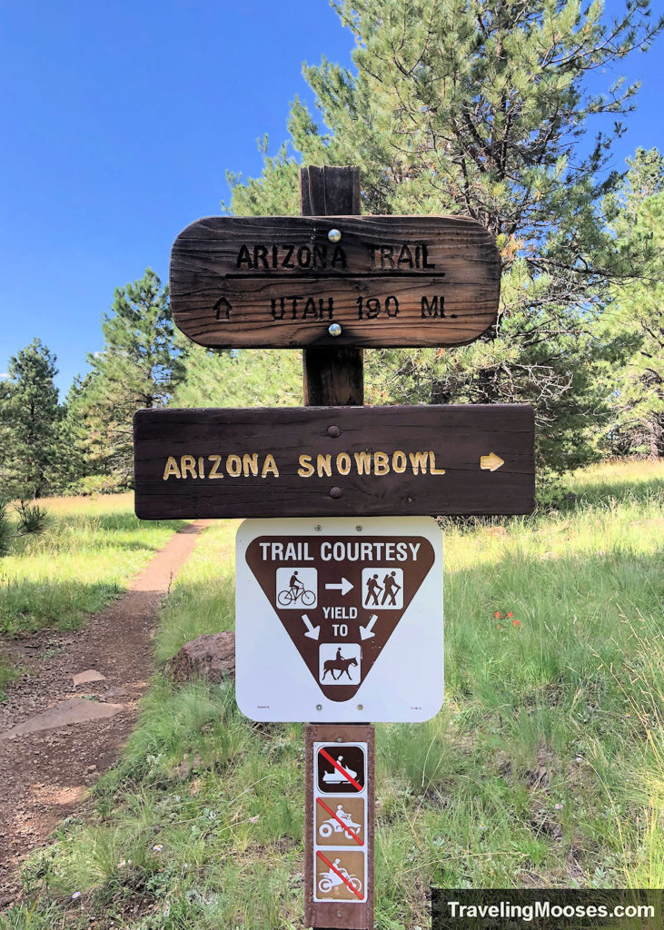 Trail fork to Arizona Trail