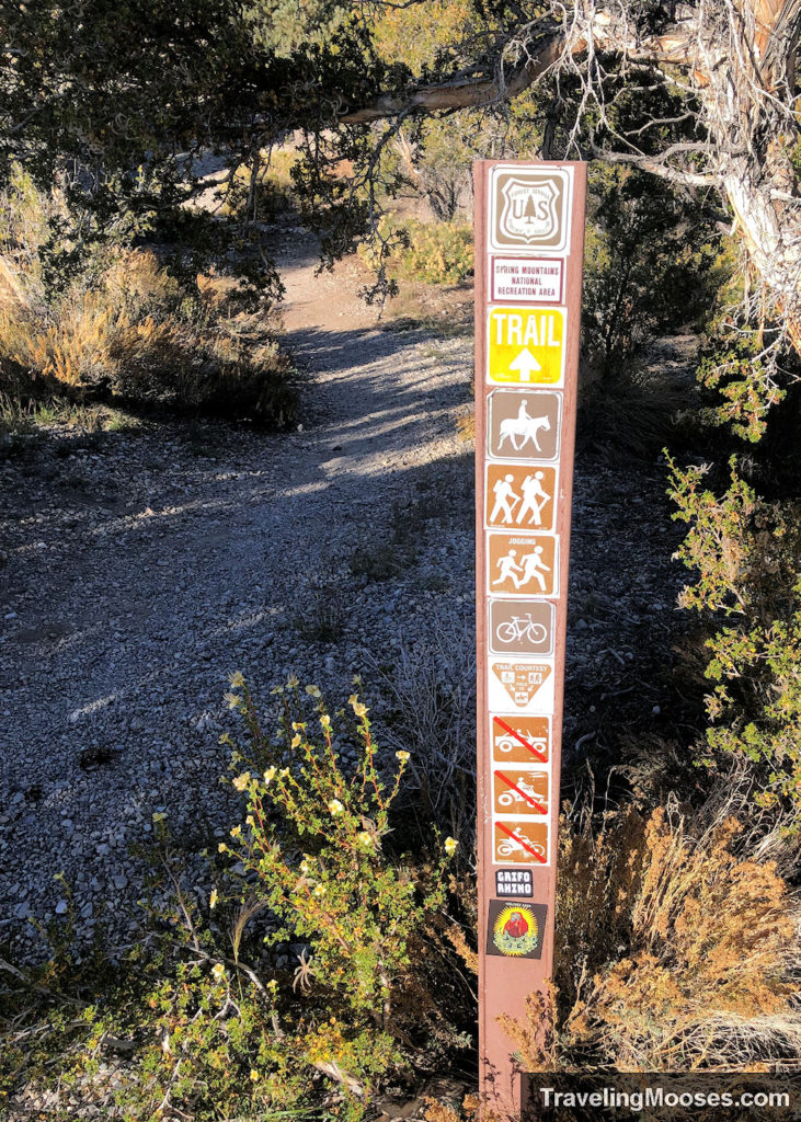 Trail markers on sawmill loop trail