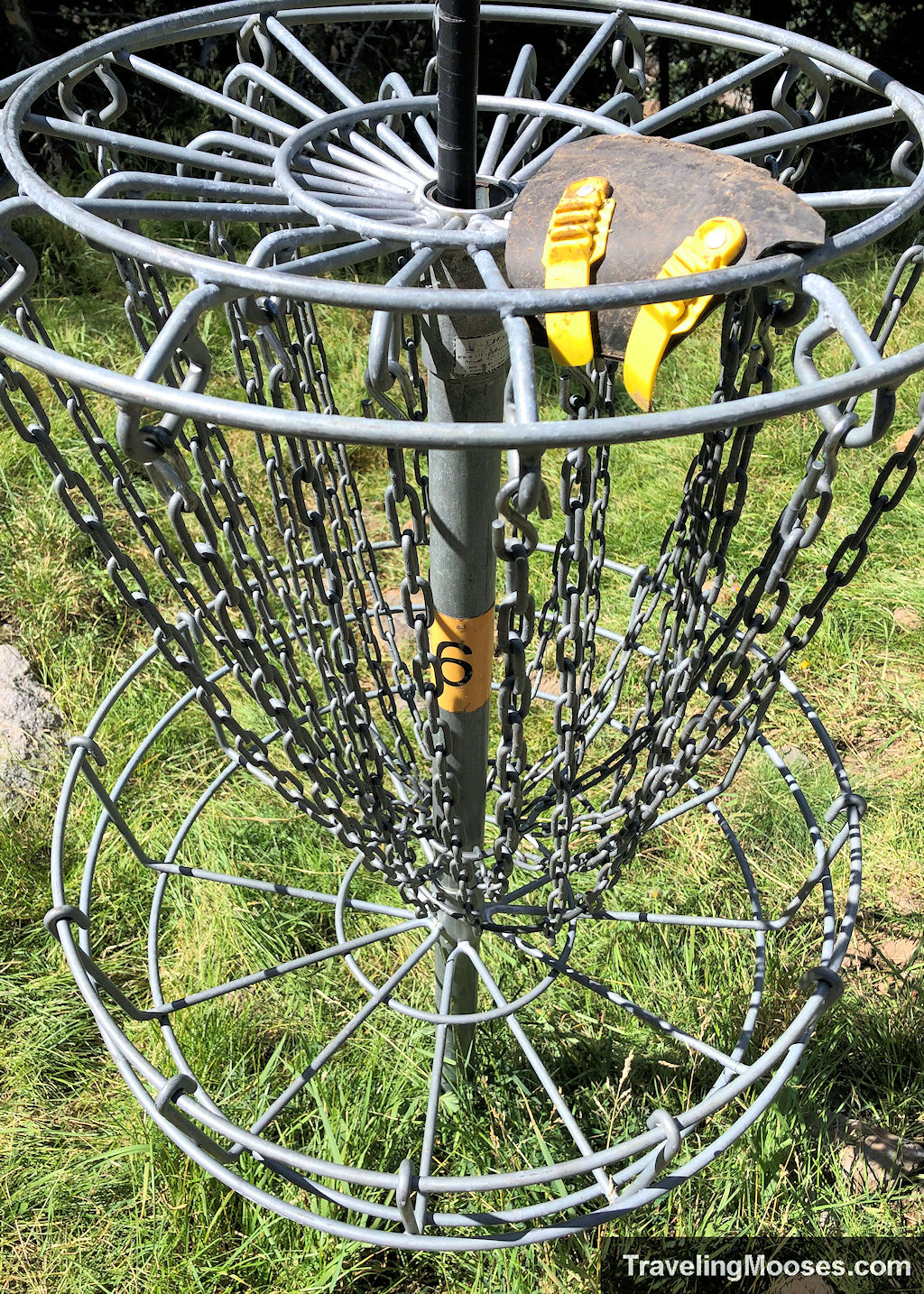 A disc golf basket labled number 6