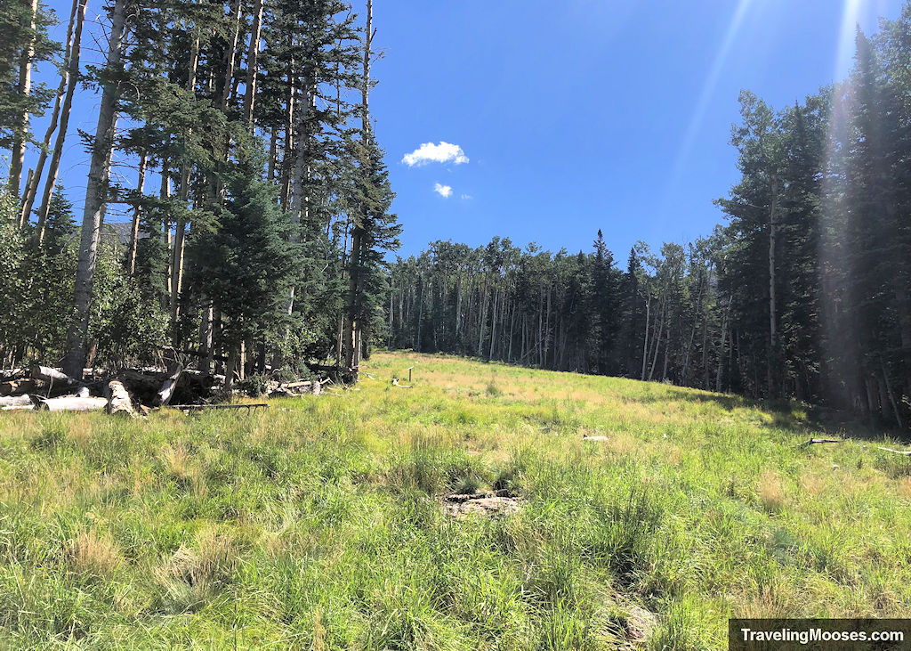 The fairway shown from hole # 3 along the snowbowl disc golf course