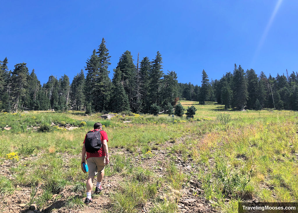 A man walking up humphreys peak towards hole number seven on the arizona snowbowl disc golf course