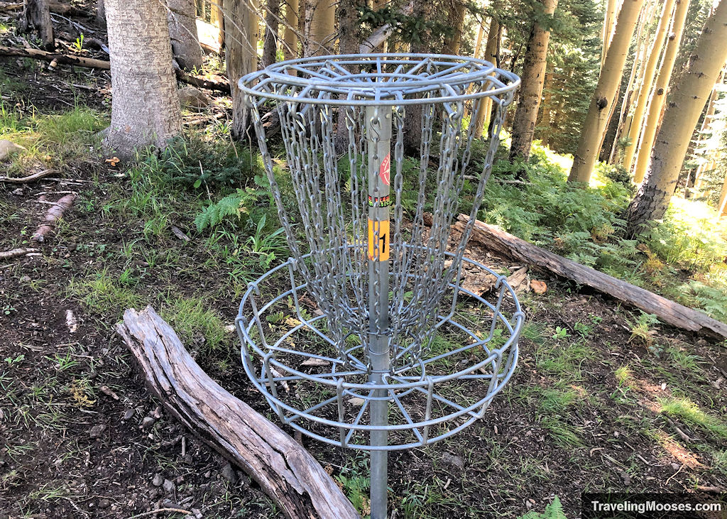 Disc golf basket with a number one