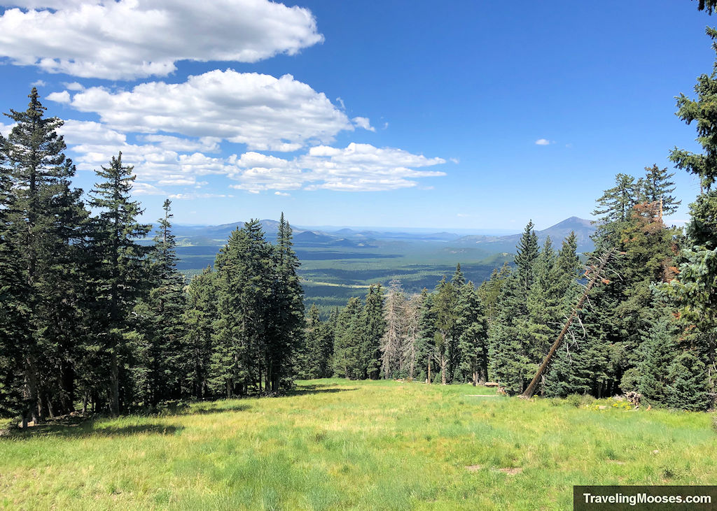 Fairway for hole ten at snowbowl disc golf course