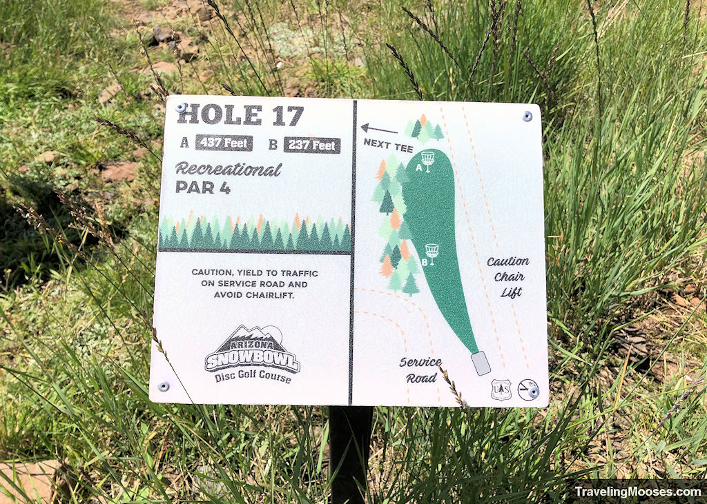 Hole # 17 sign details
