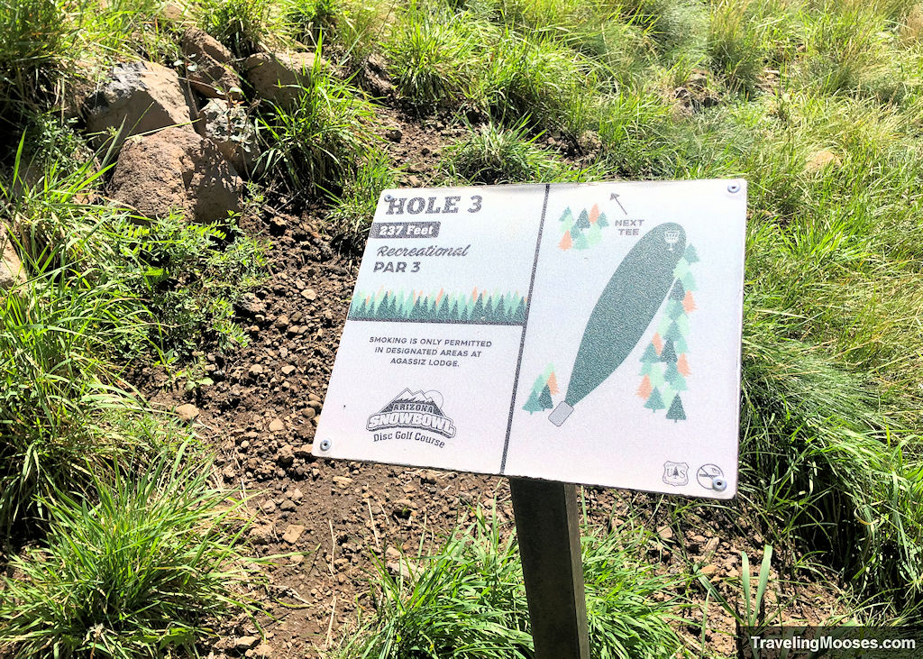 #3 hole sign market at snowbowl disc golf course