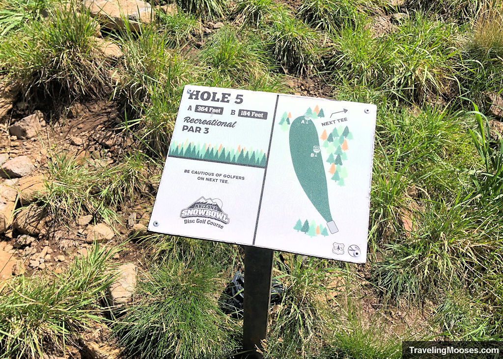 Disc golf sign marker for hole 5 at the snowbowl disc golf course