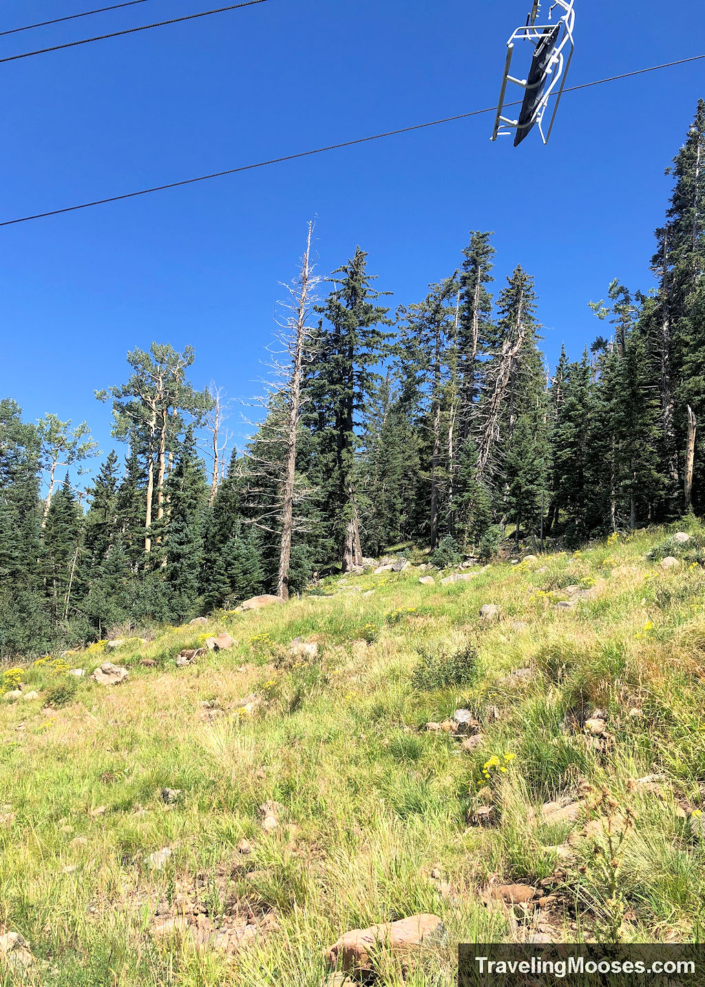 Hole number 7 in the distance across the fairway and under a ski chair lift