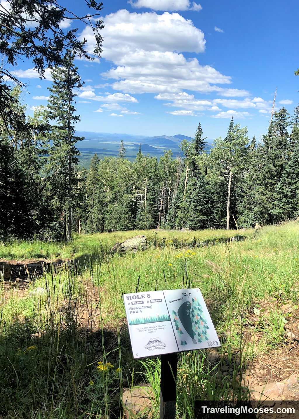 Hole number 8 disc golf sign with a  views of the valley below